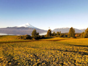 Vista de Ensenada, el lago Llanquihue y el volcán Osorno desde los alrededores de Alerce Mágico