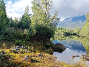 Laguna rodeada de bosque nativo en el Parque Nacional Alerce Andino, cerca de Puerto Montt